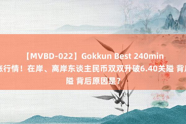 【MVBD-022】Gokkun Best 240min. 突发急涨行情！在岸、离岸东谈主民币双双升破6.40关隘 背后原因是？