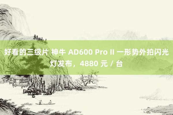 好看的三级片 神牛 AD600 Pro II 一形势外拍闪光灯发布，4880 元 / 台