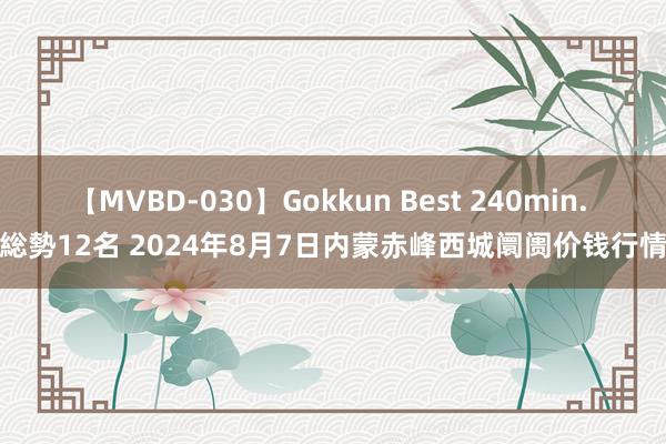 【MVBD-030】Gokkun Best 240min. 総勢12名 2024年8月7日内蒙赤峰西城阛阓价钱行情