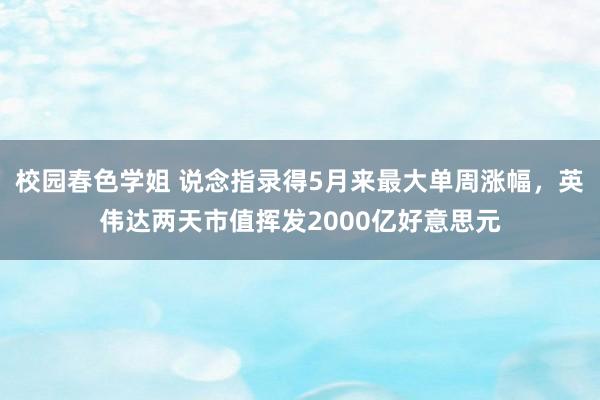 校园春色学姐 说念指录得5月来最大单周涨幅，英伟达两天市值挥发2000亿好意思元