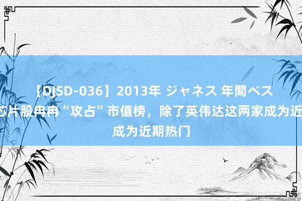 【DJSD-036】2013年 ジャネス 年間ベスト10 芯片股冉冉“攻占”市值榜，除了英伟达这两家成为近期热门