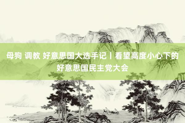 母狗 调教 好意思国大选手记丨看望高度小心下的好意思国民主党大会