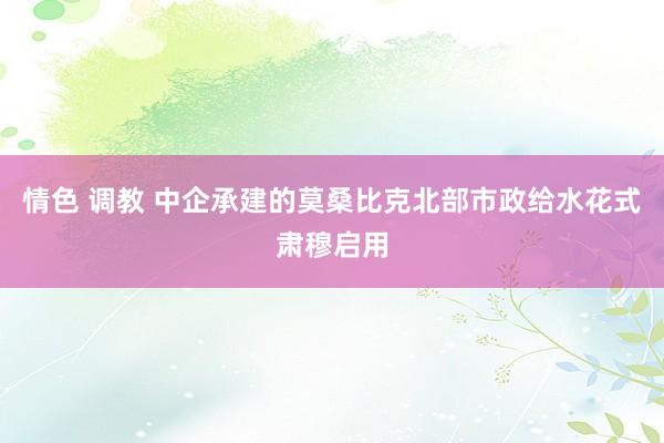 情色 调教 中企承建的莫桑比克北部市政给水花式肃穆启用