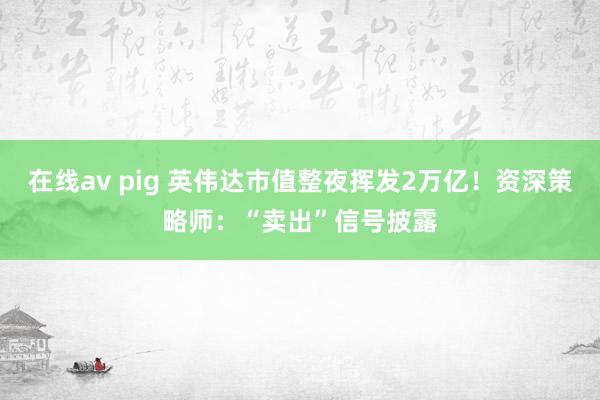 在线av pig 英伟达市值整夜挥发2万亿！资深策略师：“卖出”信号披露