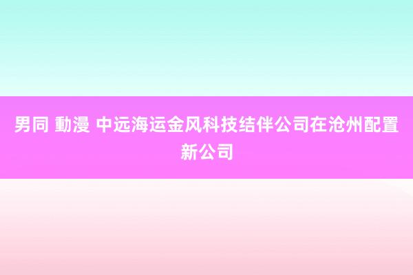 男同 動漫 中远海运金风科技结伴公司在沧州配置新公司