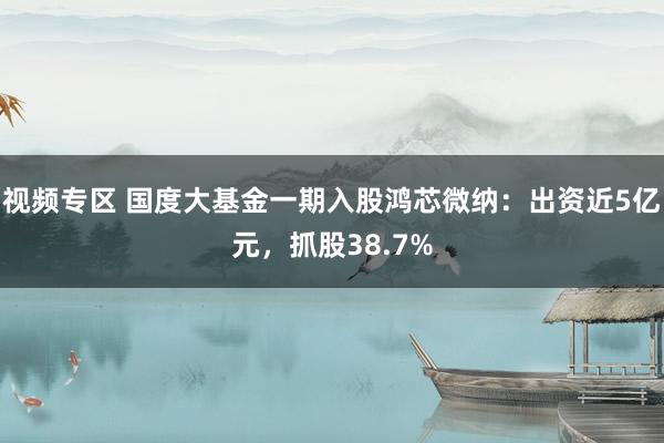 视频专区 国度大基金一期入股鸿芯微纳：出资近5亿元，抓股38.7%