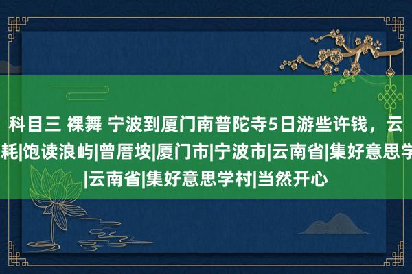 科目三 裸舞 宁波到厦门南普陀寺5日游些许钱，云南旅游5天破耗|饱读浪屿|曾厝垵|厦门市|宁波市|云南省|集好意思学村|当然开心