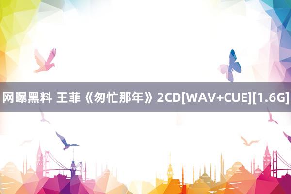 网曝黑料 王菲《匆忙那年》2CD[WAV+CUE][1.6G]