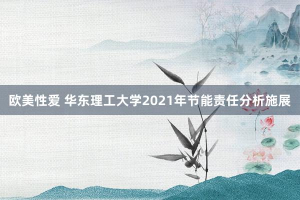 欧美性爱 华东理工大学2021年节能责任分析施展