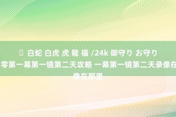 ✨白蛇 白虎 虎 龍 福 /24k 御守り お守り 绝区零第一幕第一镜第二天攻略 一幕第一镜第二天录像在那里